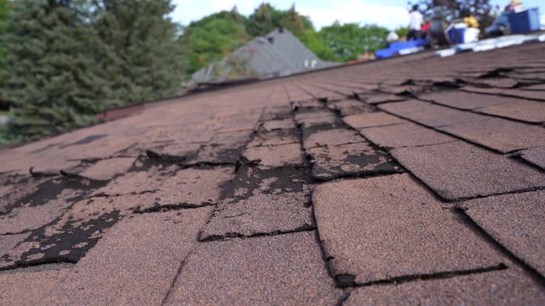 Best Hot Roofs  in Southern View, IL