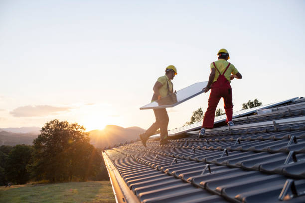 Best Roof Insulation Installation  in Southern View, IL