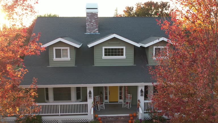 Best Green or Eco-Friendly Roofing Solutions  in Southern View, IL