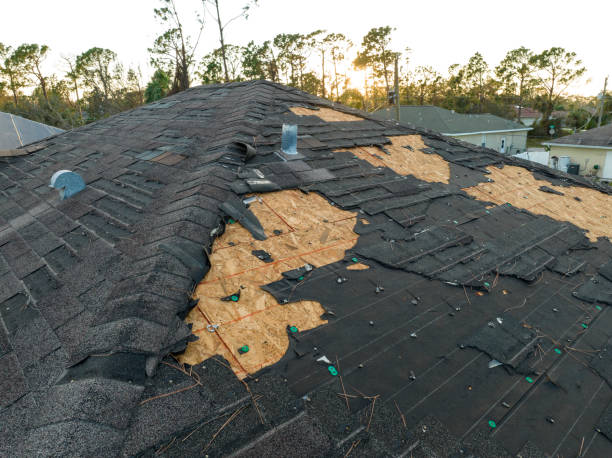 Best Steel Roofing  in Southern View, IL