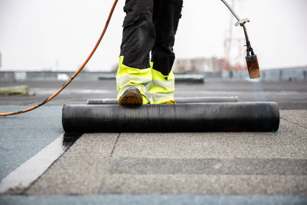 Best Roof Insulation Installation  in Southern View, IL