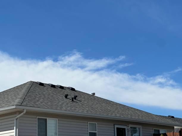 Best Sheet Metal Roofing  in Southern View, IL