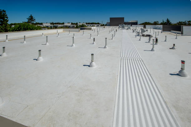 Best Steel Roofing  in Southern View, IL